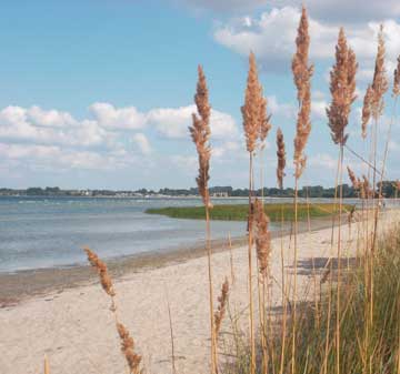 Weisse Wiek als Urlaubsort im Ostseebad Boltenhagen